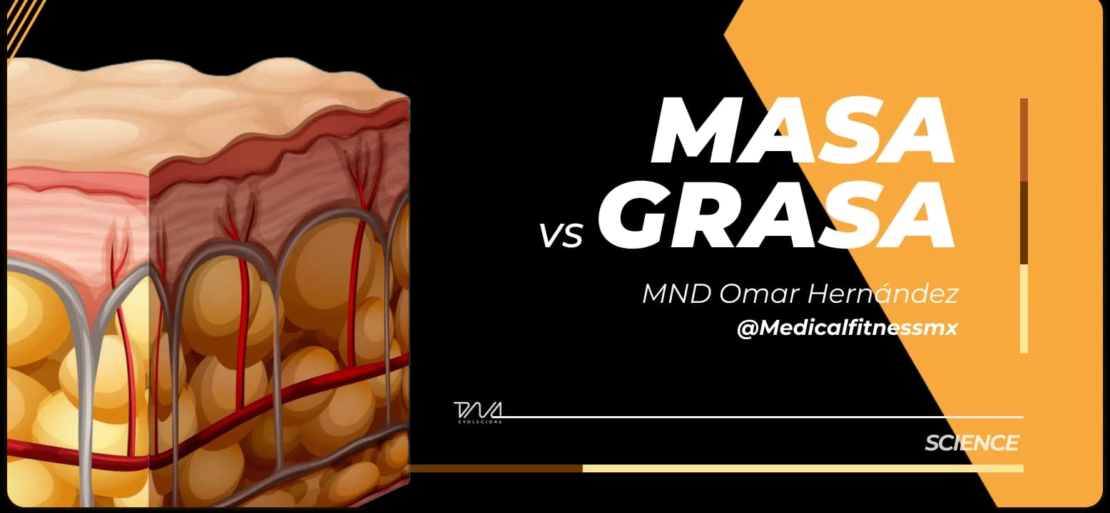 Webinar masa vs grasa